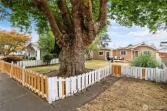 This tree is magnificent!