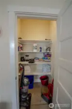 Downstairs pantry with plenty of storage space!