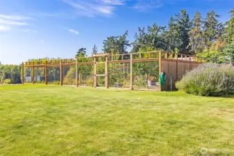 Deer Garden / Orchard