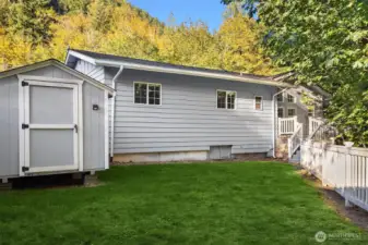 Back Yard and Shed