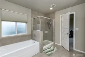 Primary bathroom
