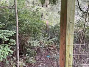 Property Corners Marked