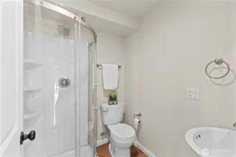 2nd bath for lower level
