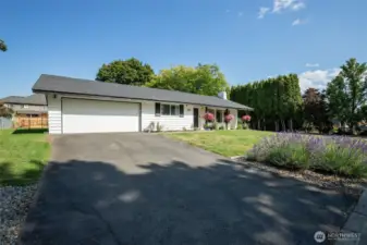 Driveway to garage