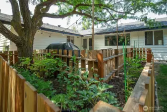 Mature landscaping