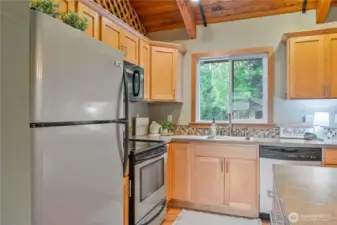 Stainless Steel Appliances