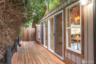 Wall of windows looking out to the trees, makes it feel like a treehouse