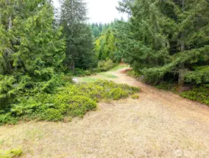 Cleared sites and trails on the property