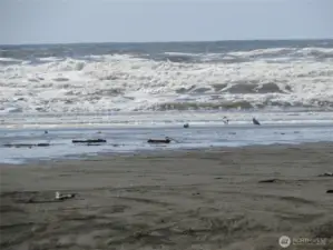 ENJOY BEACH COMBING JUST A SHORT DISTANCE FROM YOUR PROPERTY