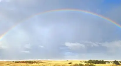 Welcome to the beach!