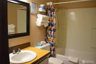 Full bath in the hall