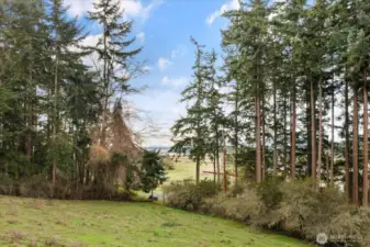 View from the home, including the Keystone Ferry Landing, Puget Sound and the Olympics.