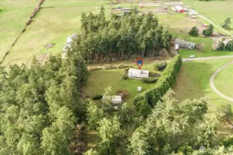 Property is in Ebey's Landing Reserve, meaning this lovely setting is protected from future commercial developement.