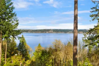 Fantastic spot for bird watching!