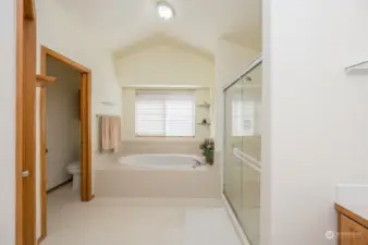 Owner's bath suite for pure relaxation