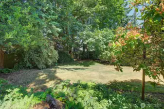 Backyard provides great privacy.