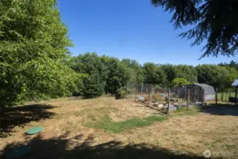 View of backyard looking North