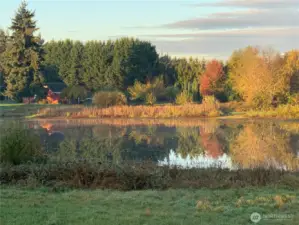 Seller "fall" photo of pond behind house
