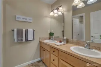 ... and a large guest bath.
