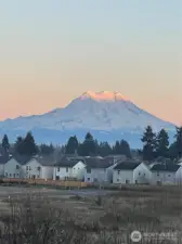 View from the backyard