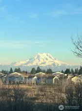 View of Mount Rainier from back deck (taken from seller's camera)