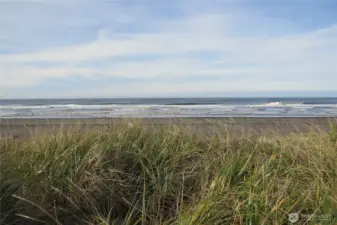 TO THE HILLSIDE AND THE OCEAN!