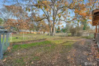 Level backyard offers great privacy and easy gate access to greenbelt area- excellent for dog walking & recreation