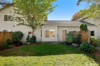 Here is the back yard - ready for your lounge chairs and morning coffee