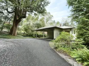 Private drive to your own oasis!