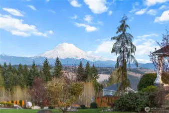 Mt Rainier in all its glory!