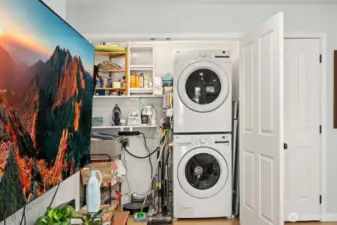 Laundry/task space in walk-in closet
