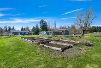 Ample Garden Space