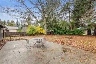 Huge back Patio is just waiting for your yard furniture or Pergola. Note the firepit in the yard and the basketball hoop at the far end of the patio.  This back yard is fully fenced as well.