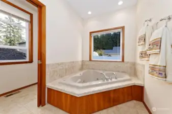 Primary bedroom bathroom jetted soaking tub. There is also a beautiful shower.