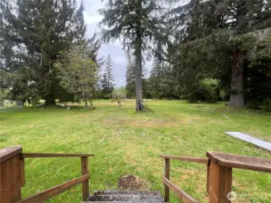 Spacious, wooded backyard with limitless potential
