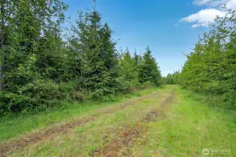 Great interior roads