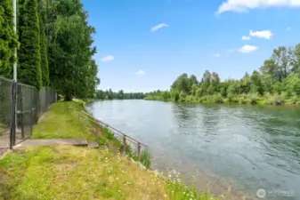 The mighty Cowlitz