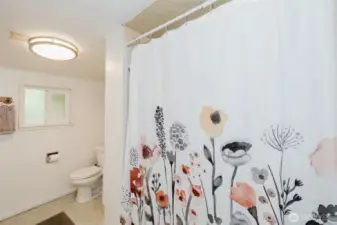Main floor bath