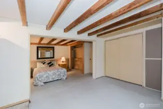 Downstairs bedroom