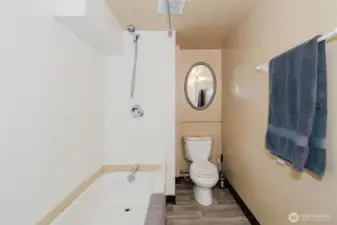 Downstairs bath