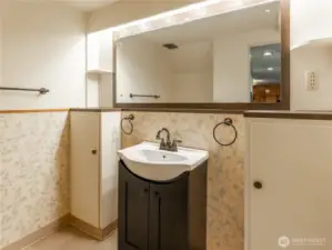 Lower Level Bath