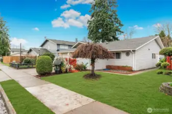 landscaped and seeded, greenery added for visualization