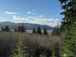 View from property edge