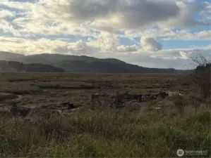 Banks of the Naselle River