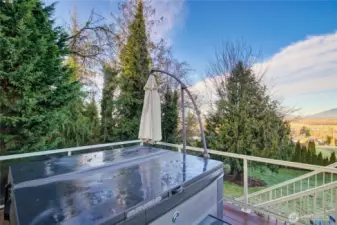 2 yr old hot tub with large umbrella