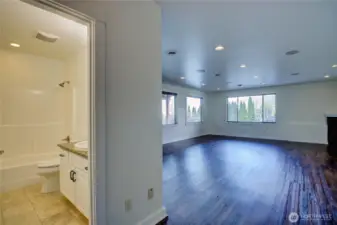 Lower floor bath and great room