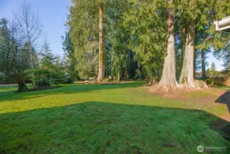 Trials and room to roam