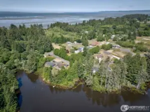 Aerial view of cove and treed lot