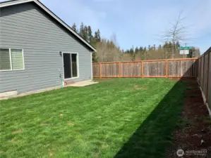 Level backyard