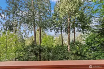 The view is better in person!